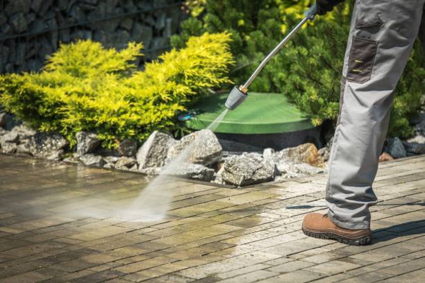 Best Pre-Holiday Cleaning  in Fairview, TX
